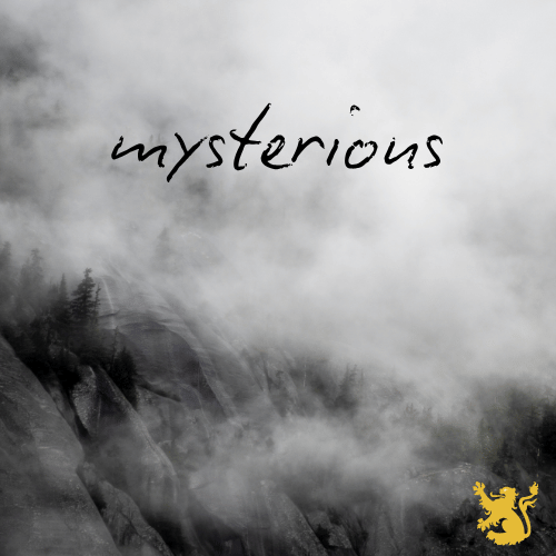 den drop: mystery surprise